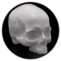 Pound of Flesh (skull)